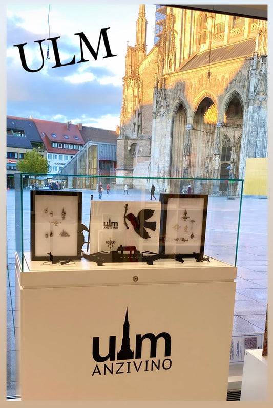 Neue Schmuck-Vitrine fürs Ulmer Stadthaus