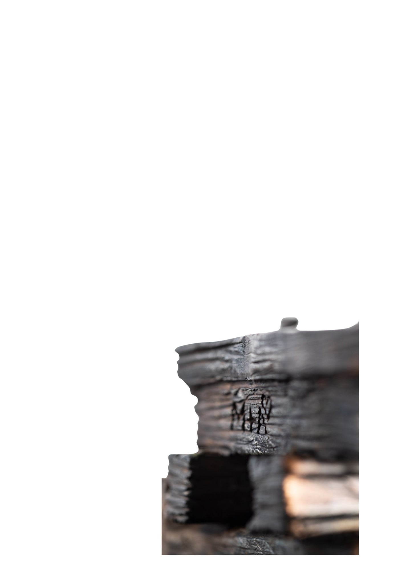 Berblinger Skulptur - UNIKAT