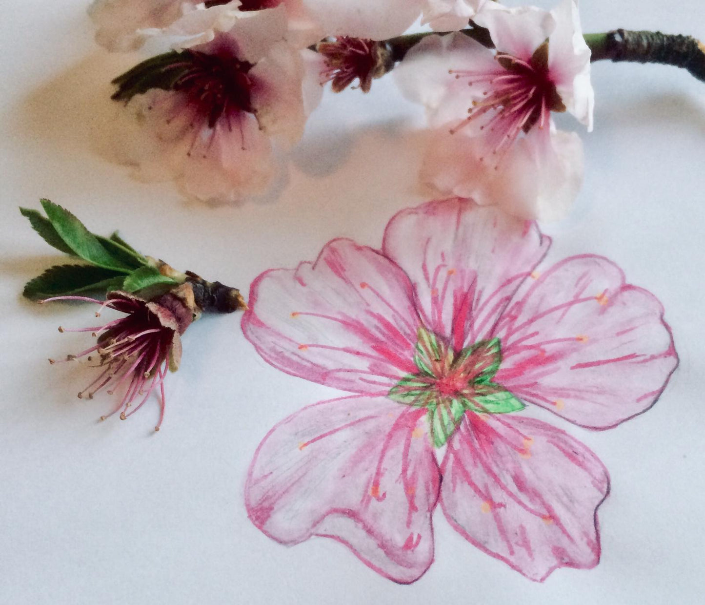 Vivaldi Primavera Anhänger