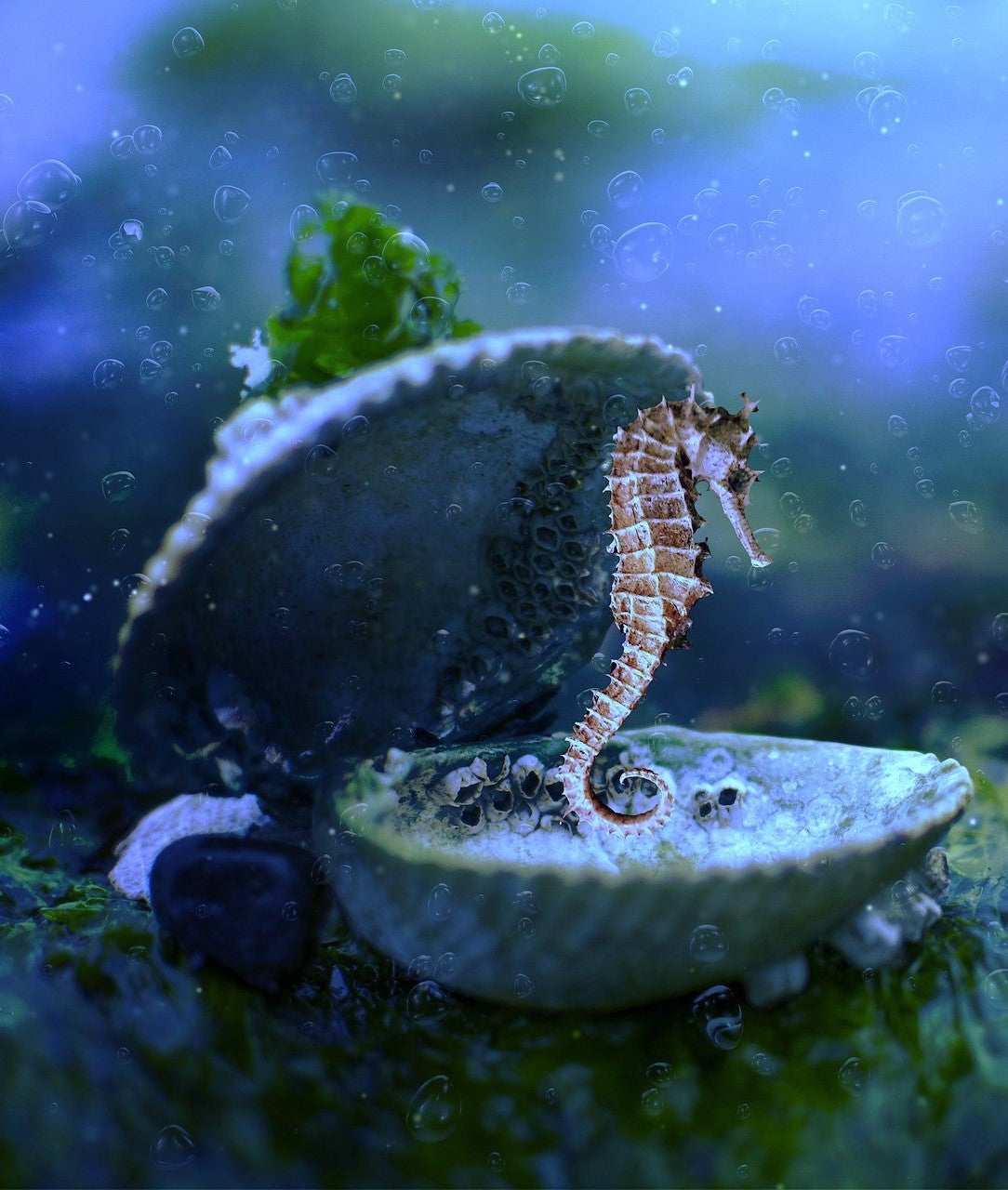 Goccia Topas Anhänger