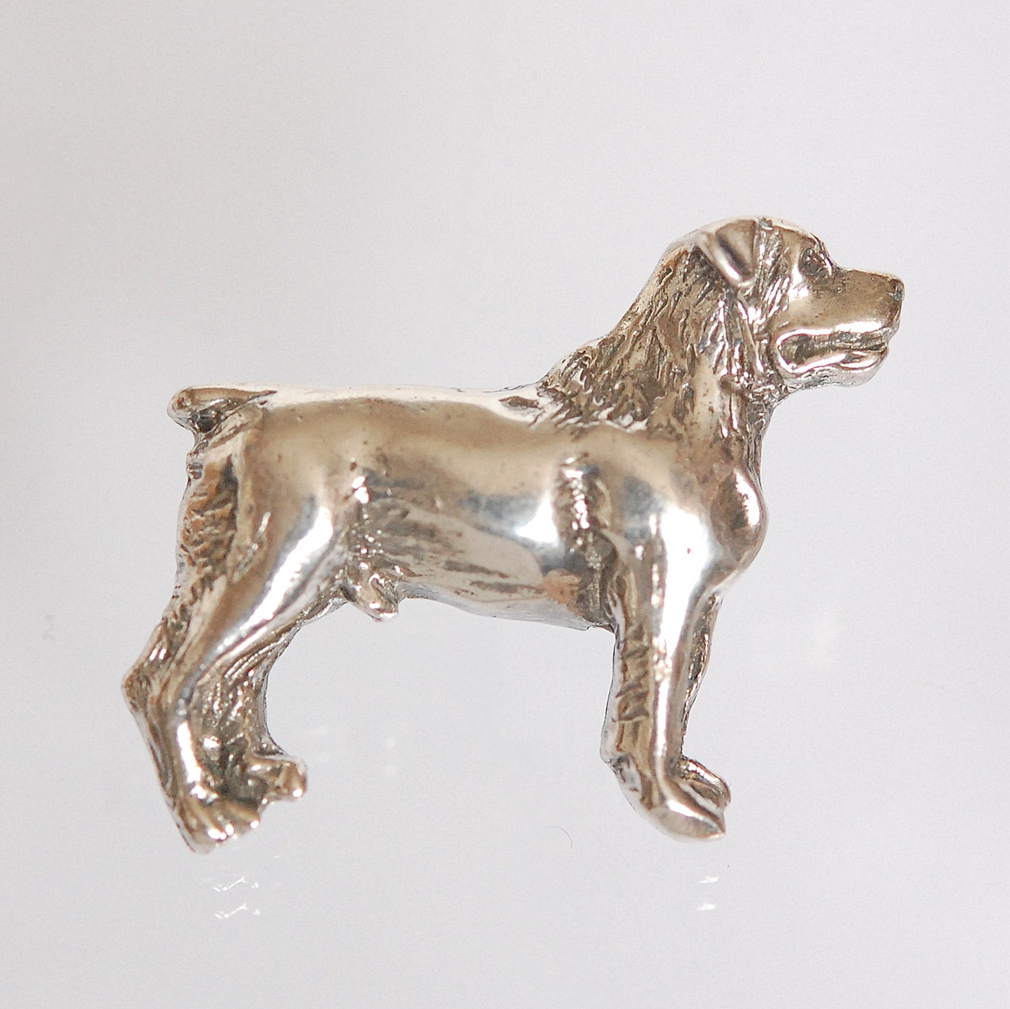 Rottweiler Pin