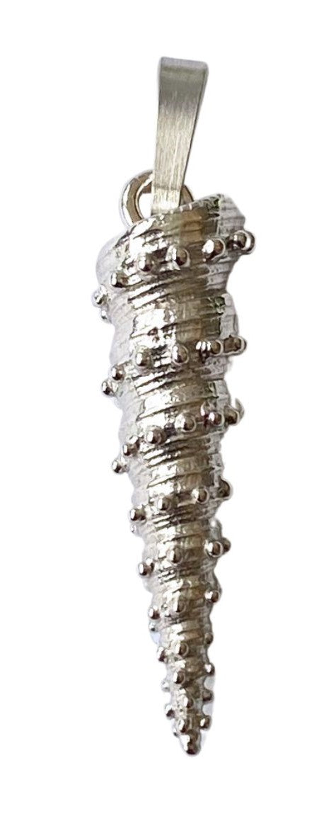 Turritella Piccolinis Anhänger