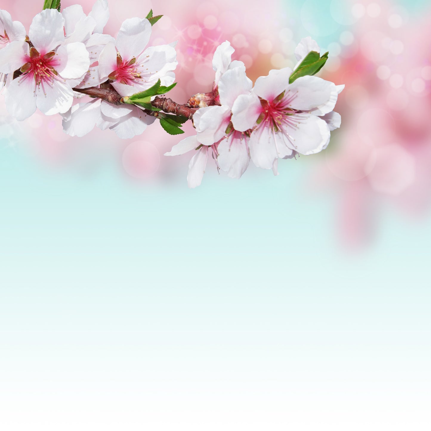 Vivaldi Primavera Anhänger