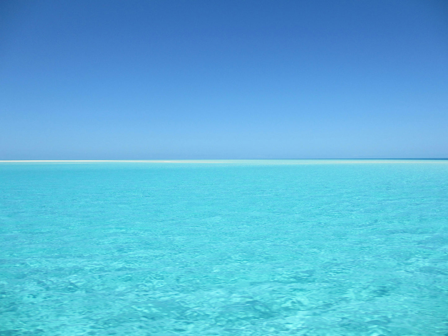 Tartaruga Larimar Anhänger