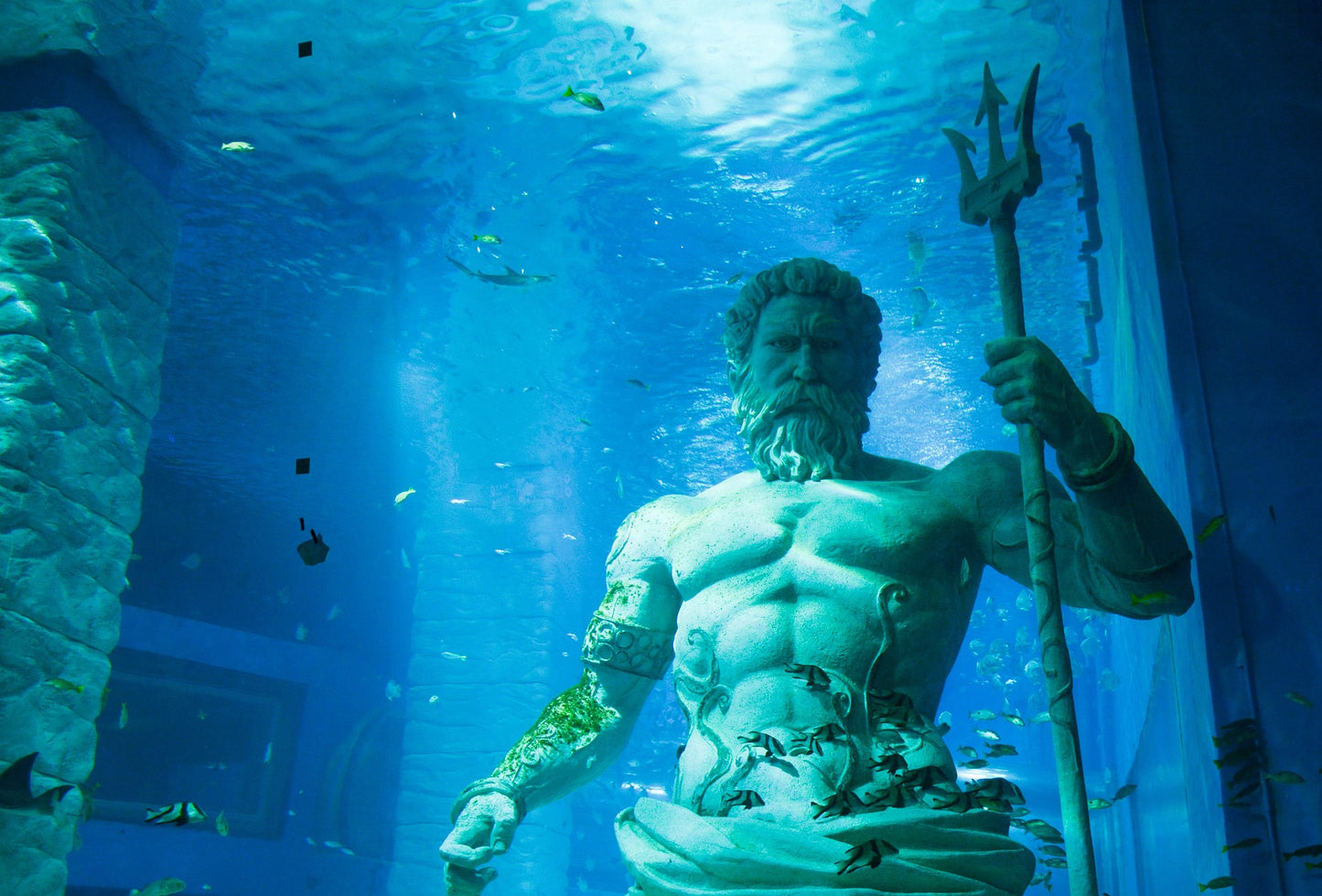 Poseidon - in drei Varianten erhältlich