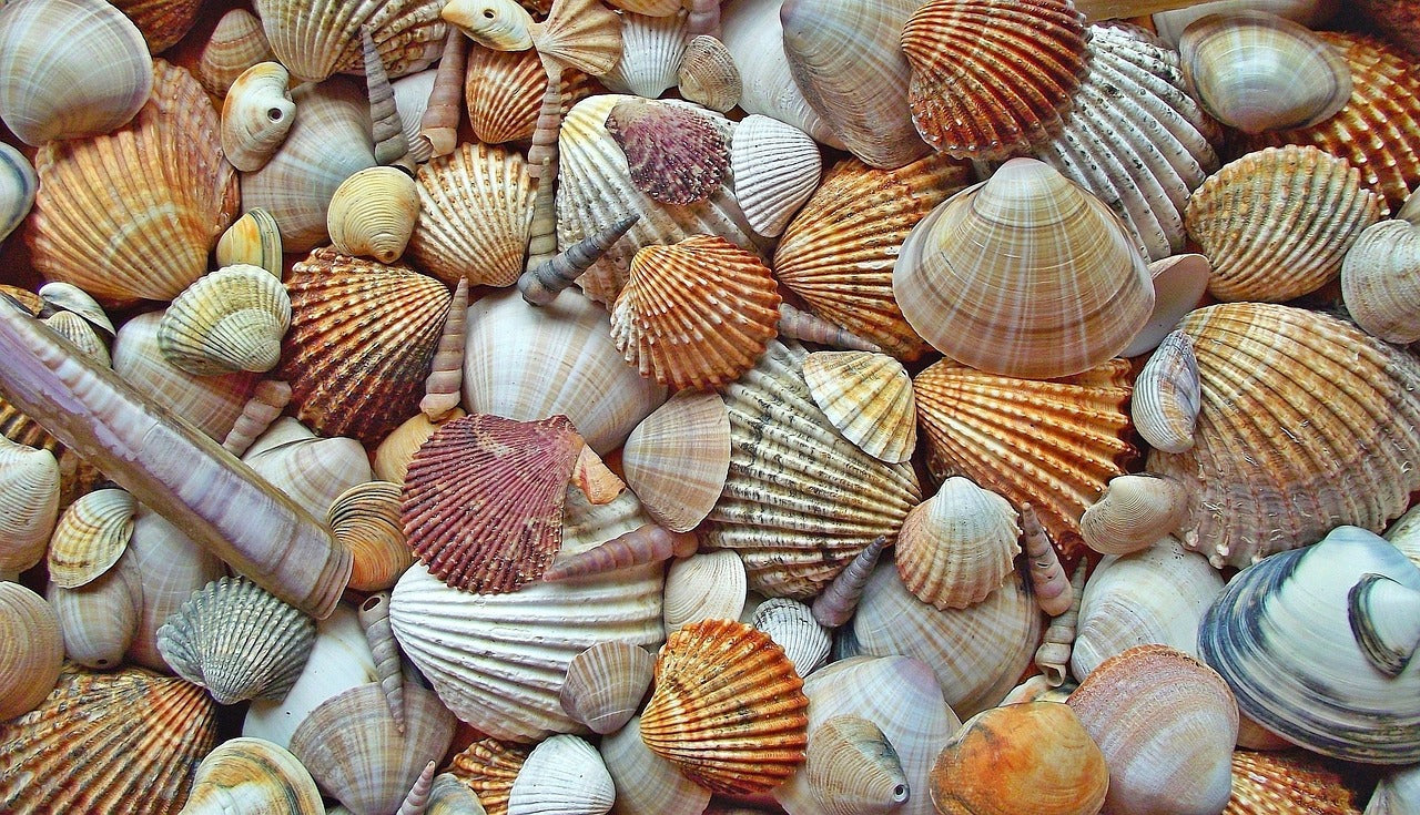Mare Perl-Ohrschmuck UNIKAT