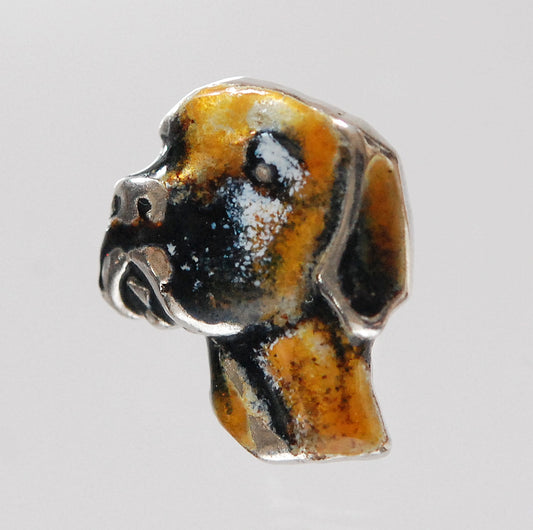 Pointer Pin