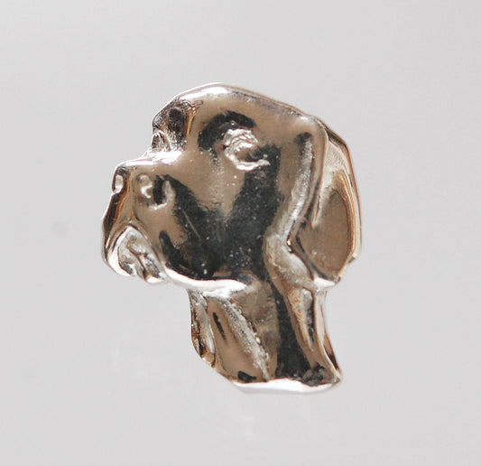 Pointer Pin
